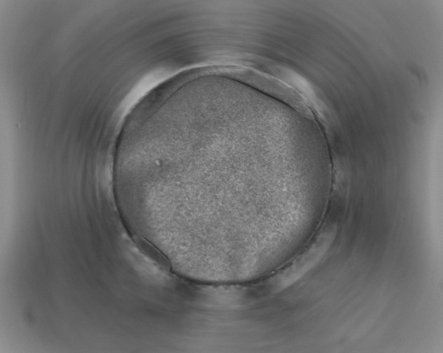 X0000113740952200910141001