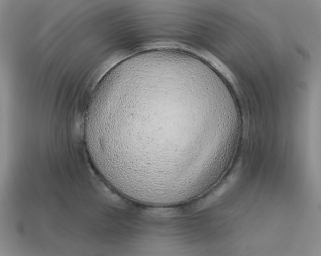 X0000113740953200910141001