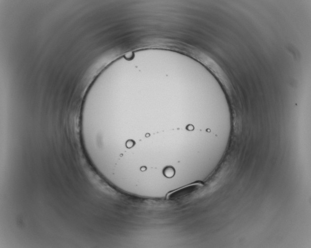 X0000113740954200910141001