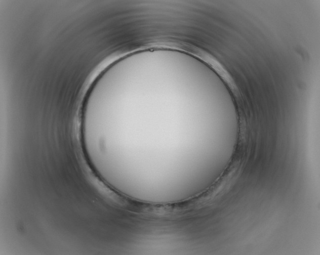 X0000113740955200910141001