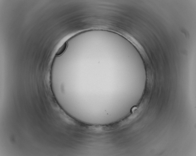 X0000113740956200910141001