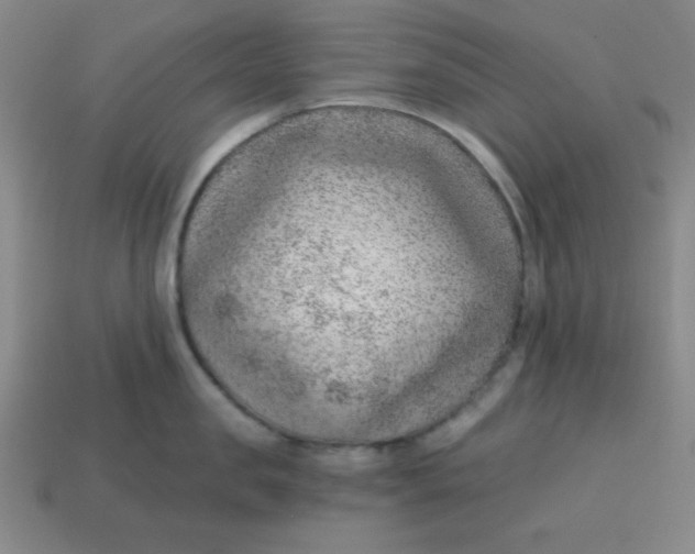 X0000113740957200910141001