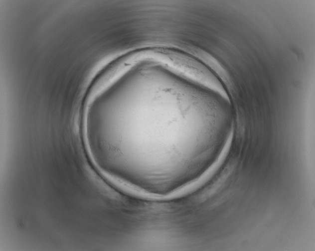 X0000113740958200910141001