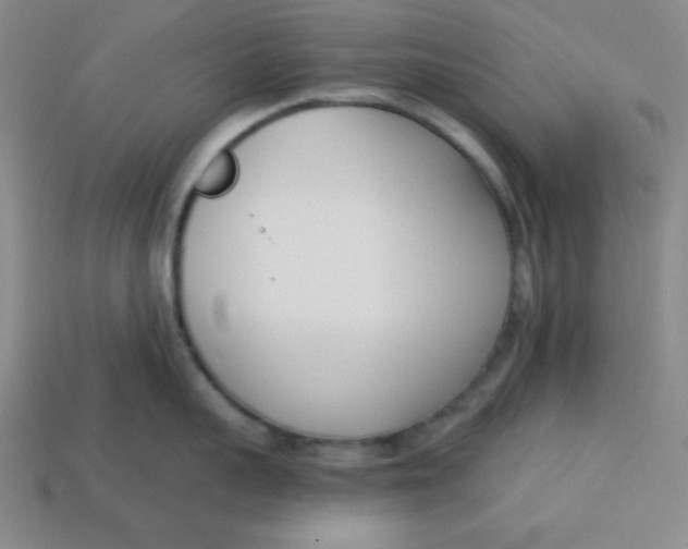 X0000113740959200910141001