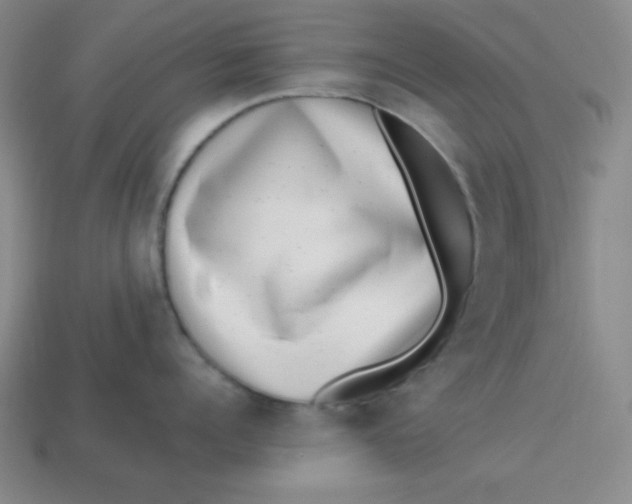 X0000113740960200910141001