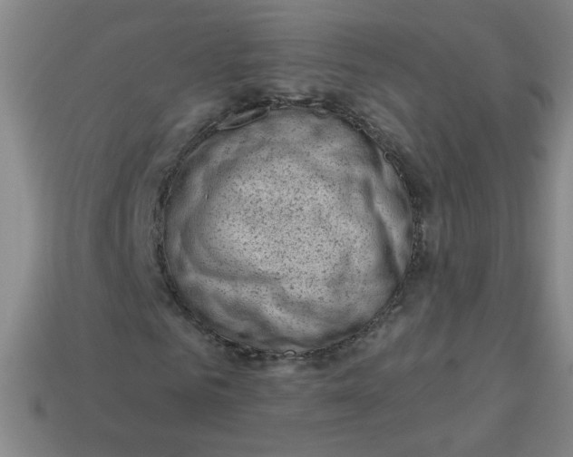 X0000113740961200910141000