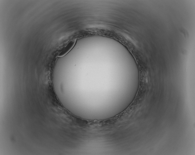 X0000113740965200910141000