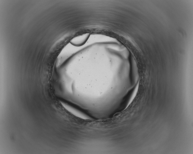 X0000113740967200910141000