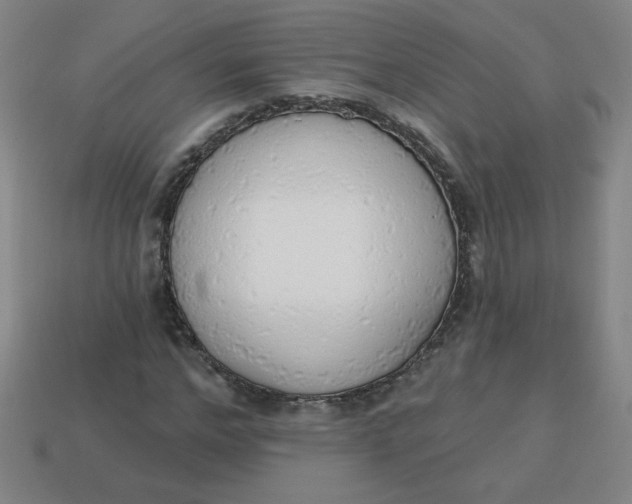 X0000113740968200910141000