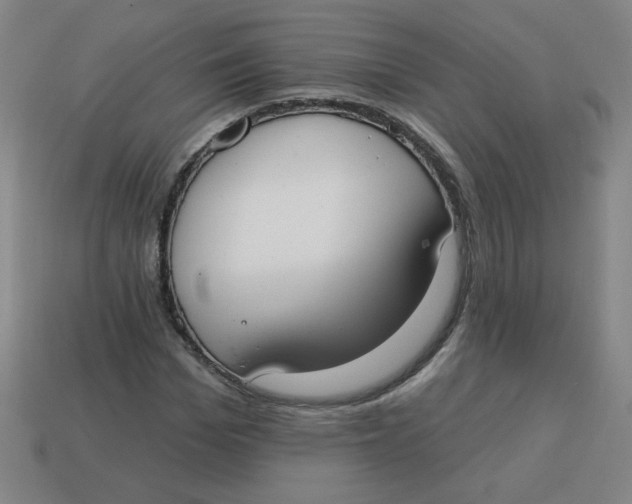 X0000113740969200910141000