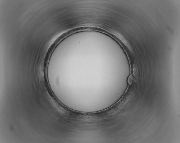 X0000113740972200910141000