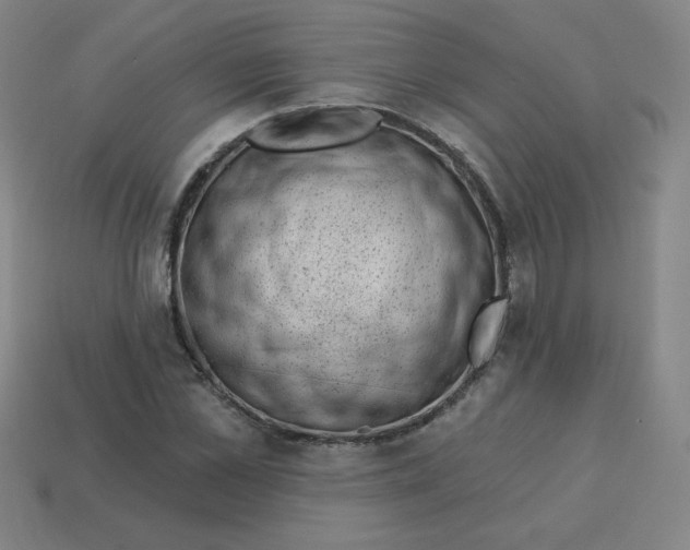 X0000113740973200910141000