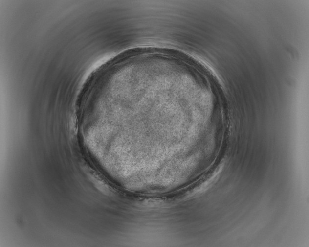 X0000113740974200910141000