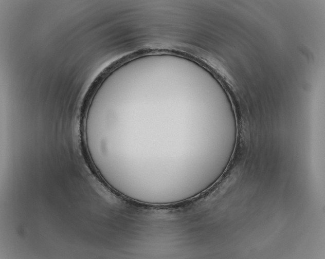 X0000113740976200910141000