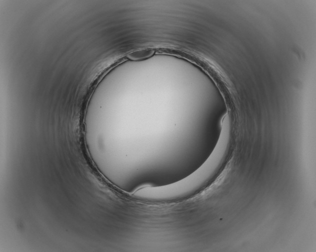 X0000113740977200910141000