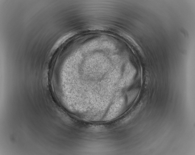 X0000113740978200910141000