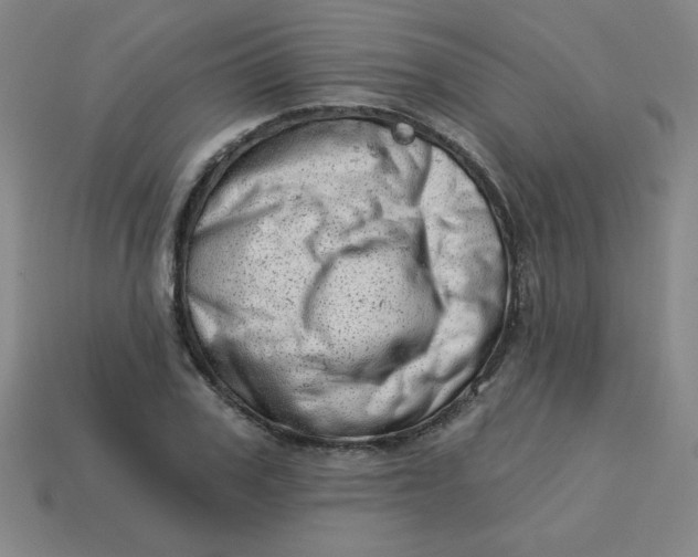 X0000113740979200910141000