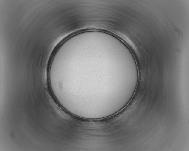 X0000113740980200910141000