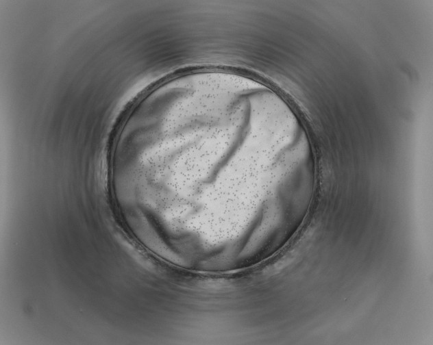 X0000113740982200910141000