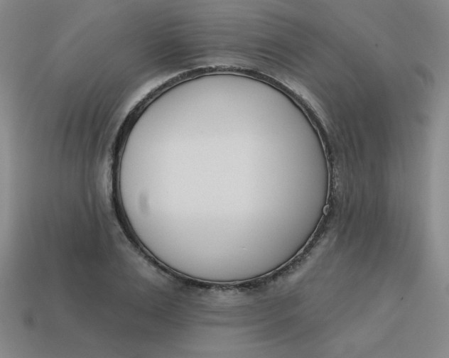 X0000113740983200910141000