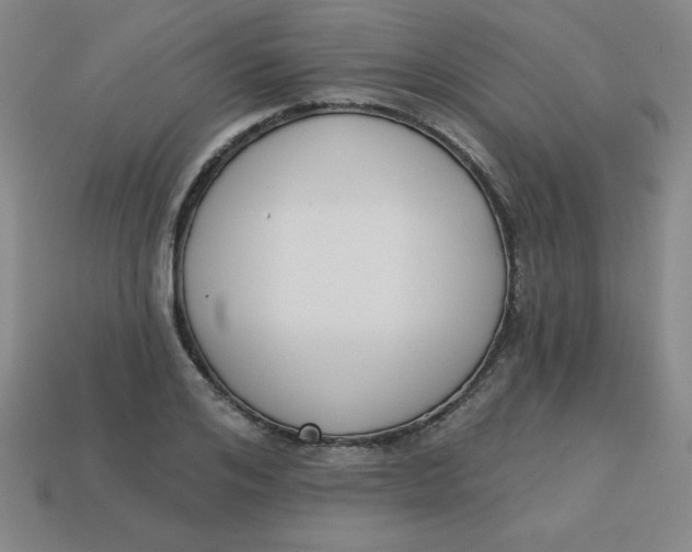 X0000113740984200910141000