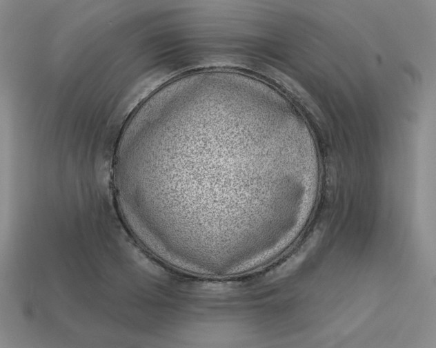 X0000113740985200910141000