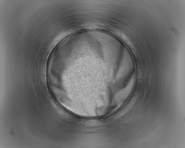 X0000113740986200910141000