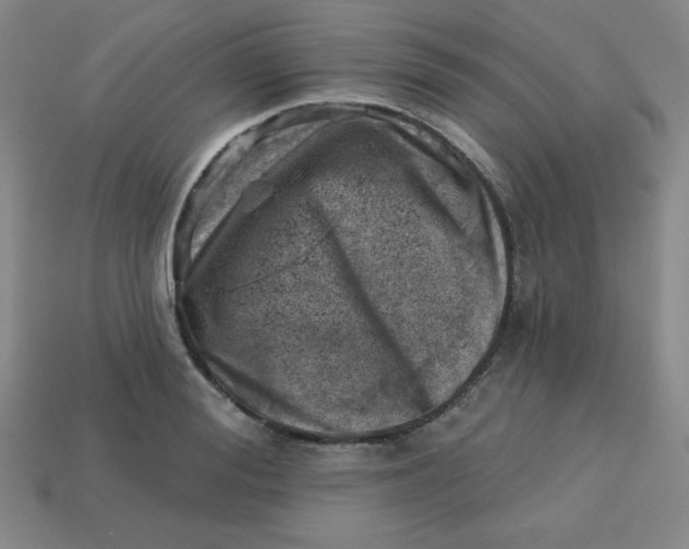 X0000113740988200910141000