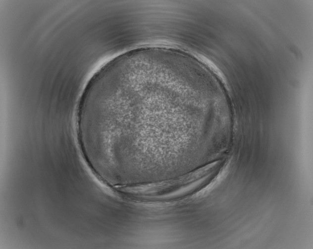 X0000113740989200910141000