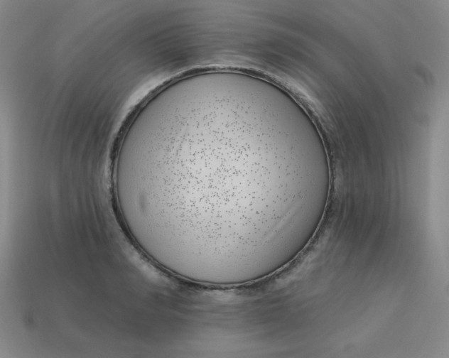 X0000113740990200910141000