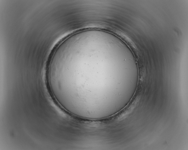 X0000113740991200910140959