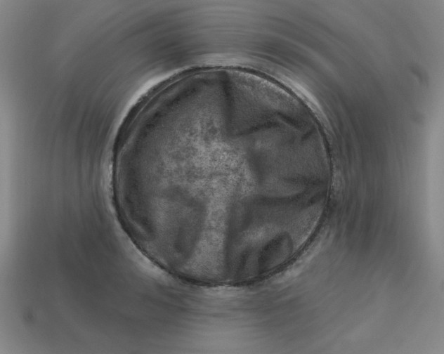 X0000113740992200910140959