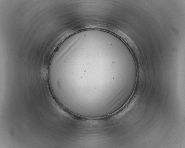 X0000113740993200910140959