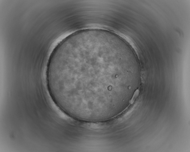 X0000113740995200910140959