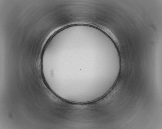 X0000113740996200910140959