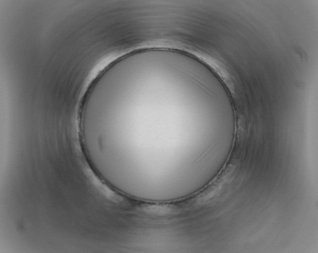 X0000113740998200910140959