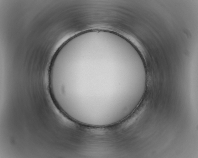 X0000113740999200910140959