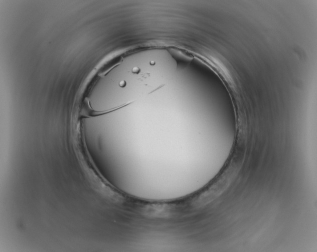 X0000113741000200910140959