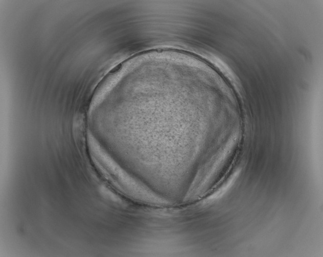 X0000113741001200910140959