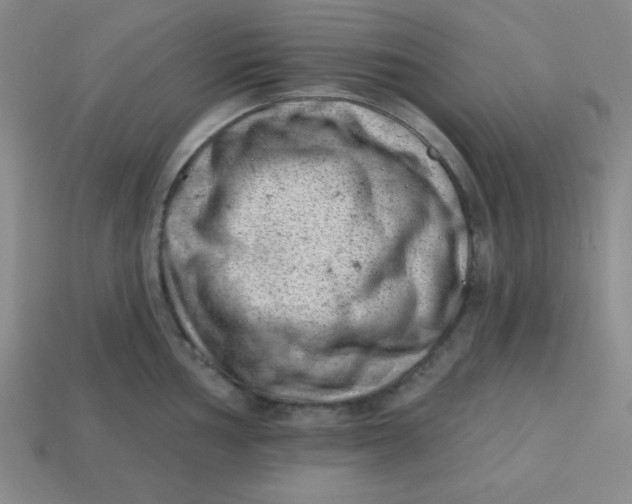 X0000113741002200910140959