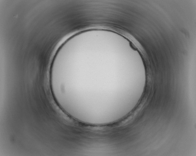 X0000113741004200910140959