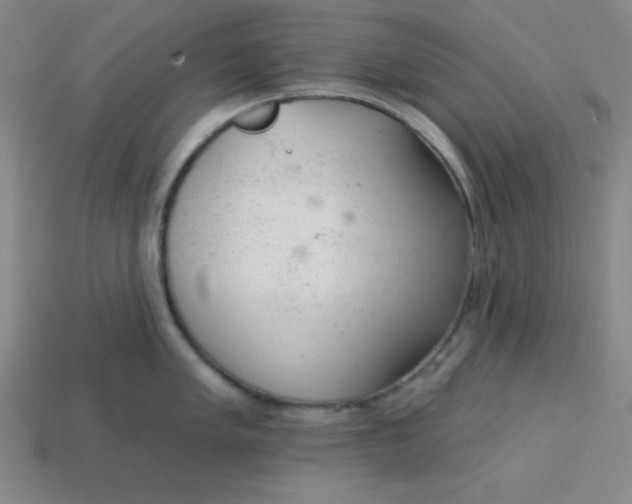 X0000113741005200910140959