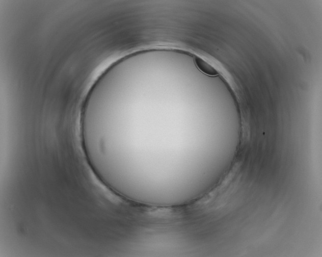 X0000113741006200910140959