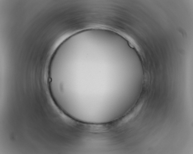 X0000113741007200910140959