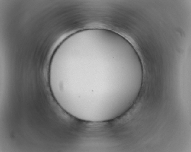 X0000113741008200910140959