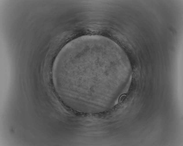 X0000113741009200910140959