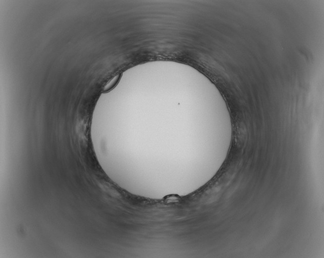 X0000113741010200910140959