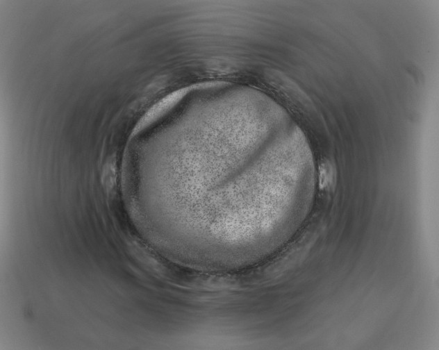 X0000113741011200910140959