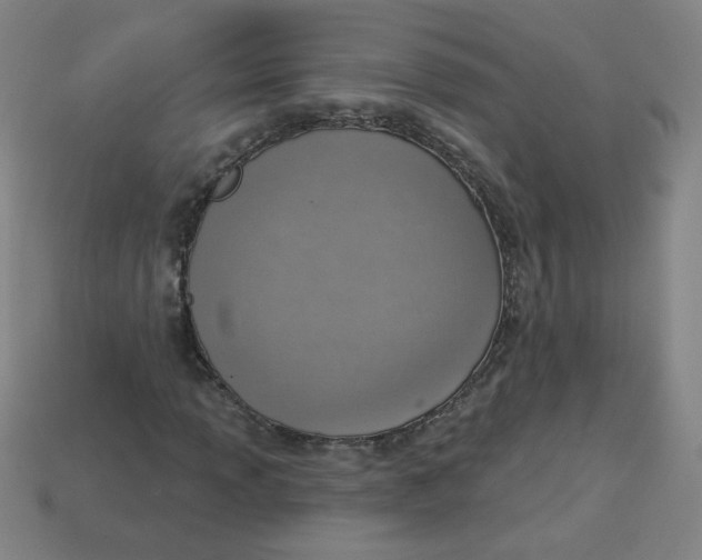 X0000113741013200910140959