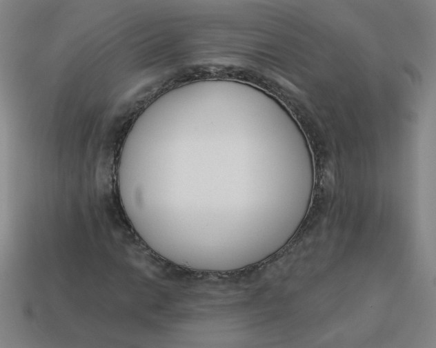 X0000113741014200910140959